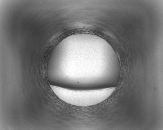 X0000067380869200603311018