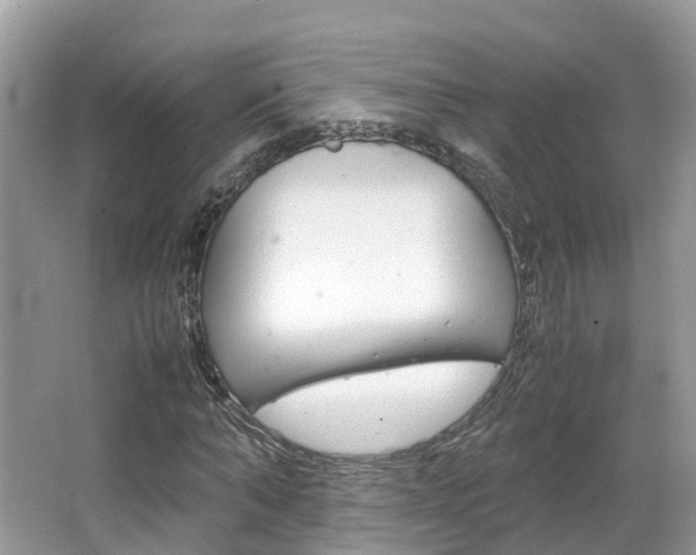 X0000067380870200603311018