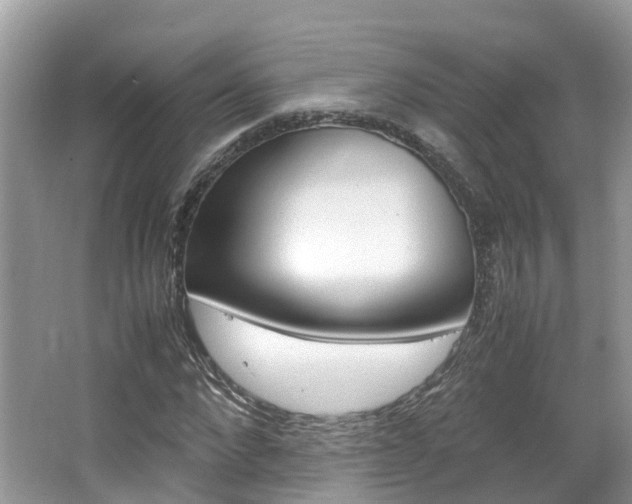 X0000067380872200603311018