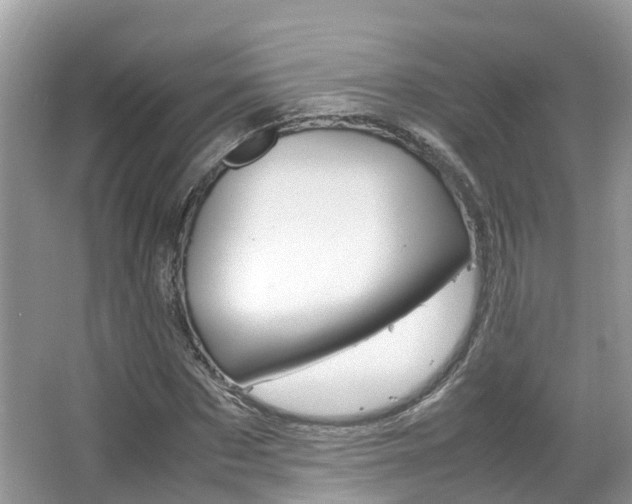 X0000067380873200603311018