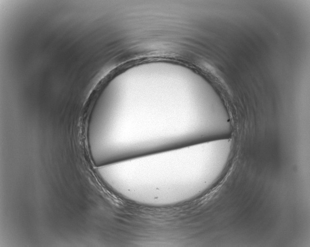X0000067380875200603311017