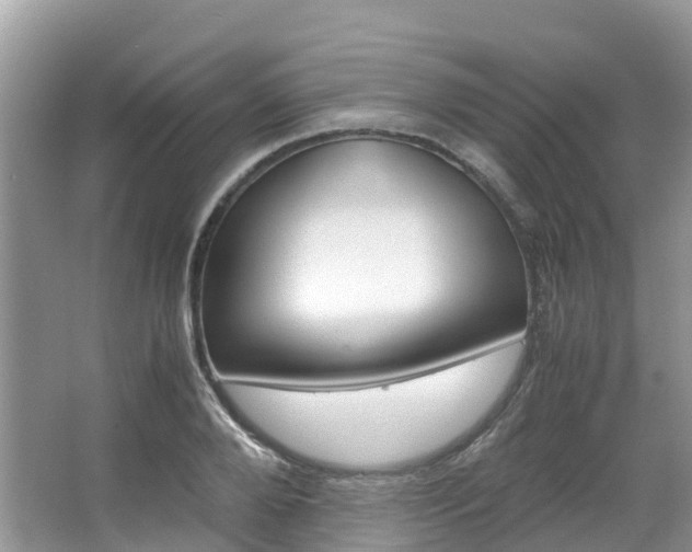 X0000067380888200603311017