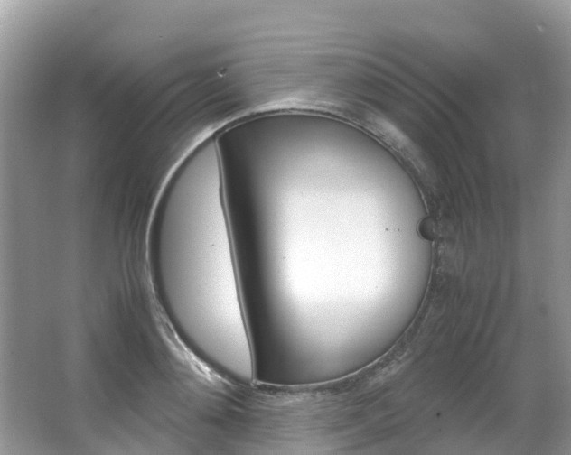 X0000067380892200603311017