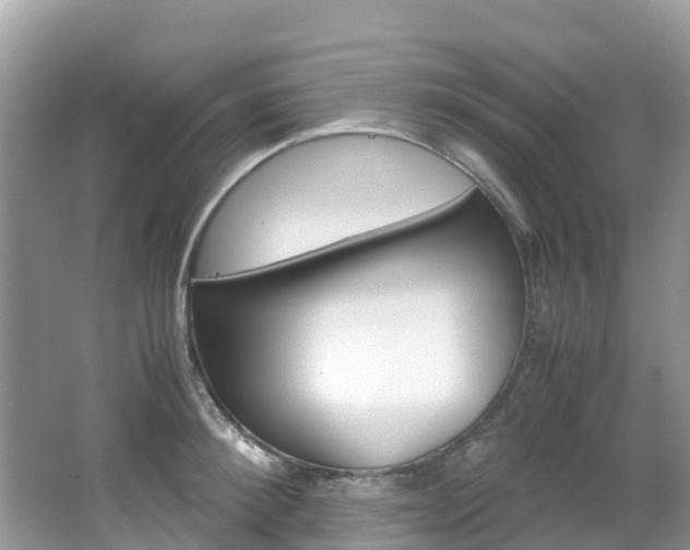 X0000067380900200603311017