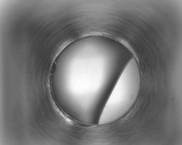 X0000067380906200603311017
