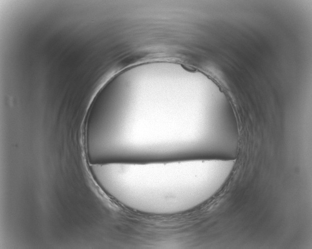 X0000067380907200603311017
