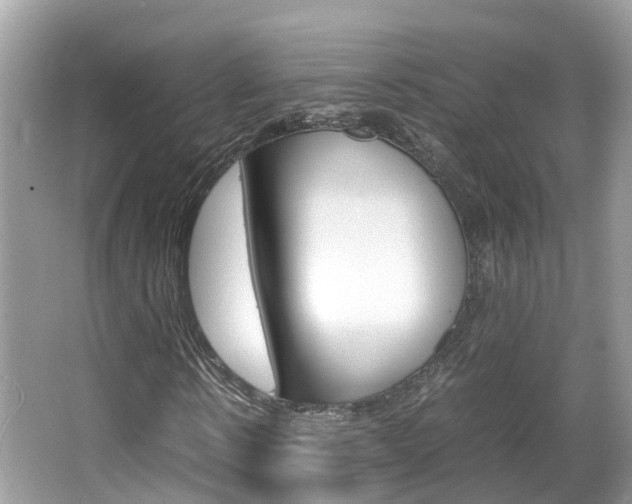 X0000067380914200603311016