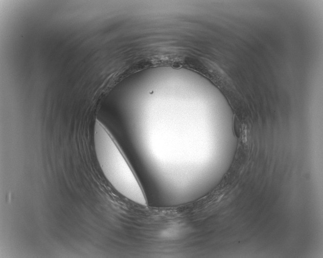 X0000067380915200603311016