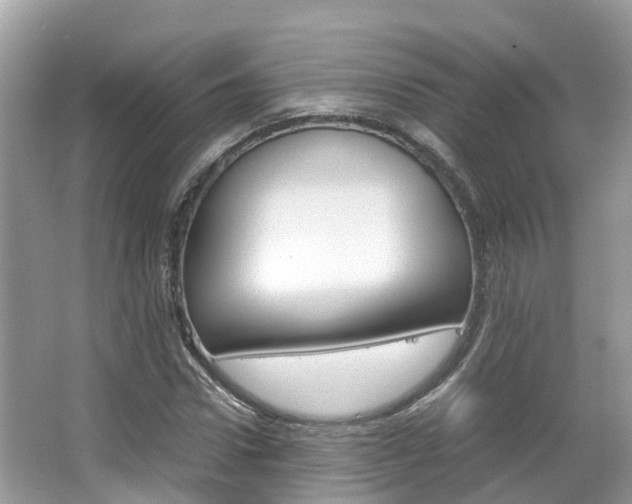 X0000067380922200603311016