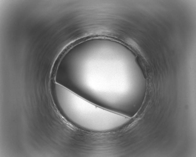 X0000067380924200603311016