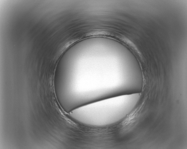 X0000067380937200603311016