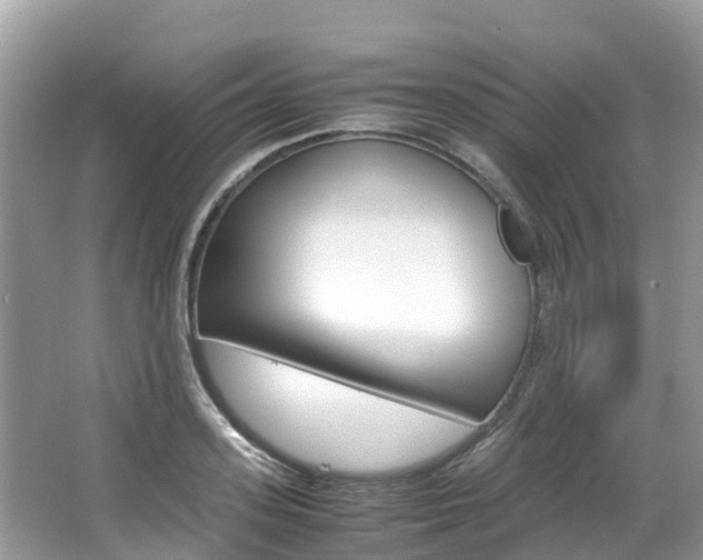 X0000067380939200603311017