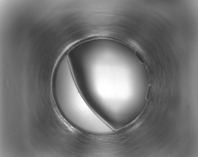 X0000067380940200603311017