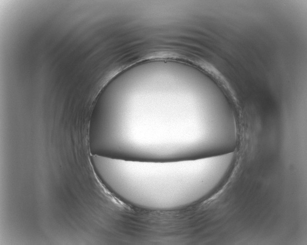 X0000067380945200603311017