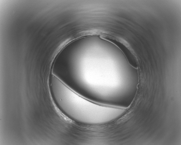 X0000067380946200603311017