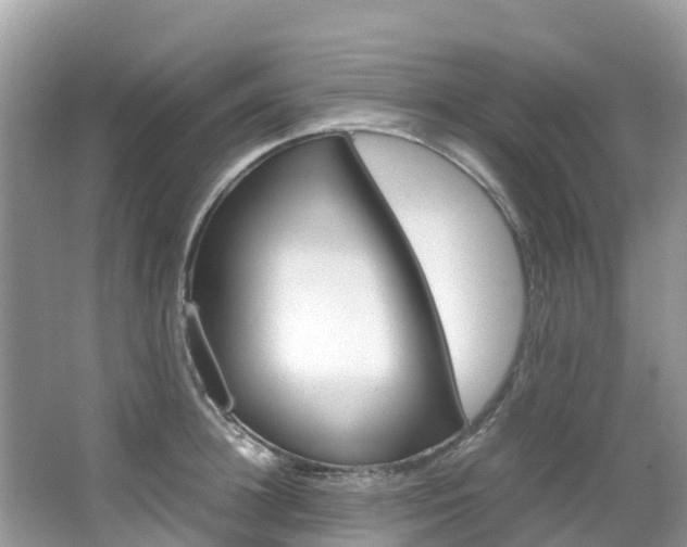 X0000067380948200603311017