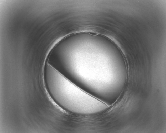 X0000067380949200603311017