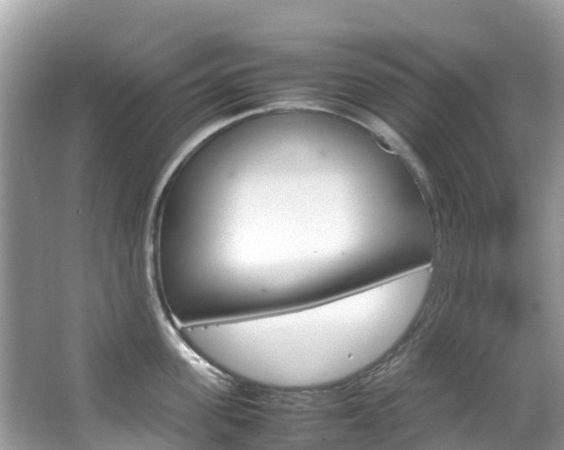 X0000067380955200603311017