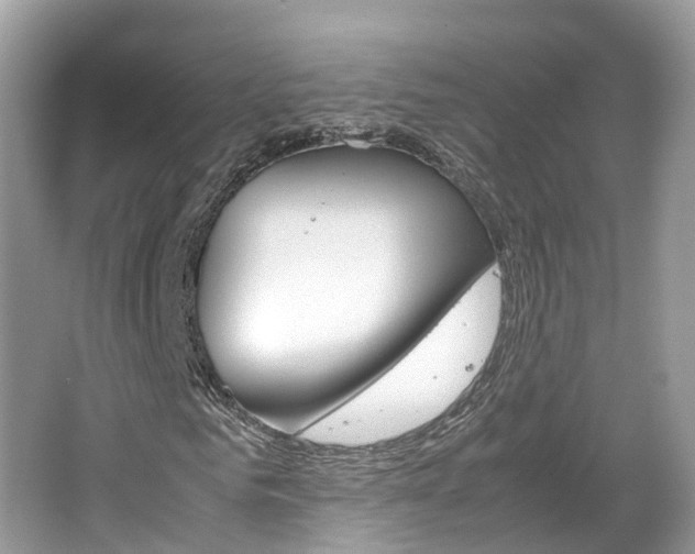 X0000067380961200603311016
