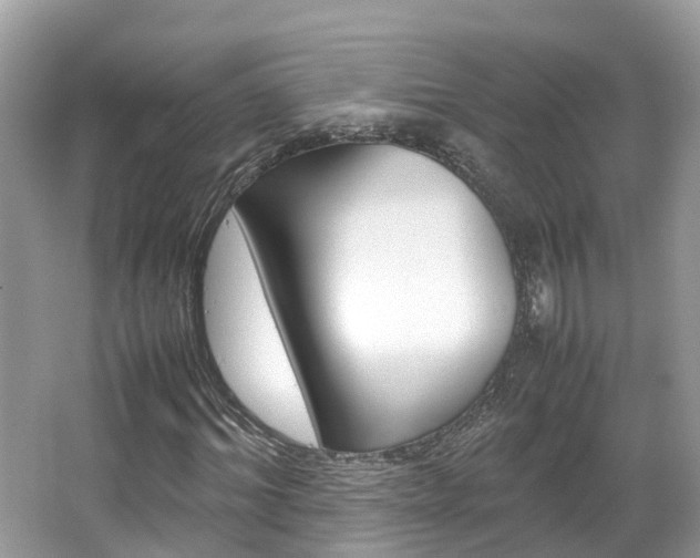 X0000067380964200603311016
