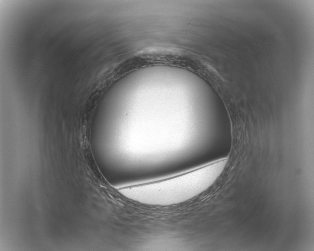 X0000067380965200603311016