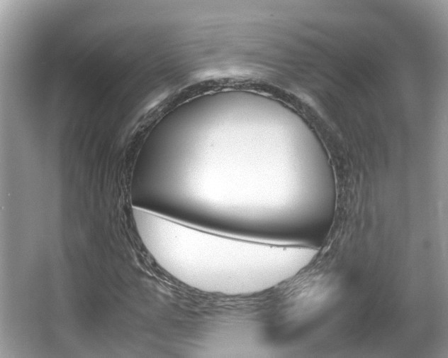 X0000067380967200603311016