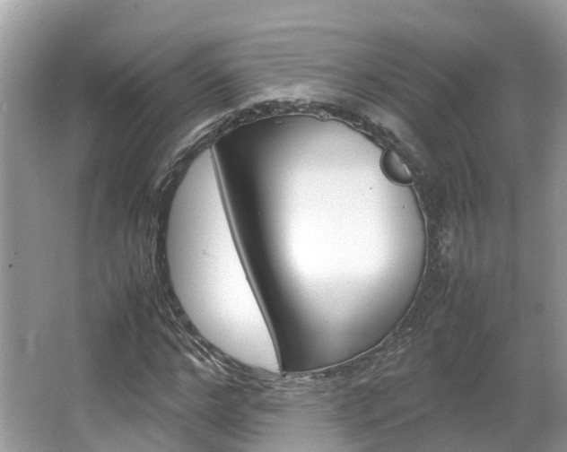 X0000067380968200603311016