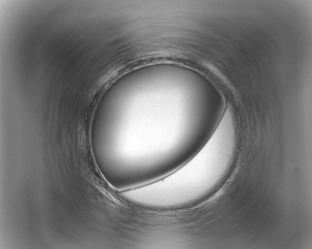 X0000067380969200603311016