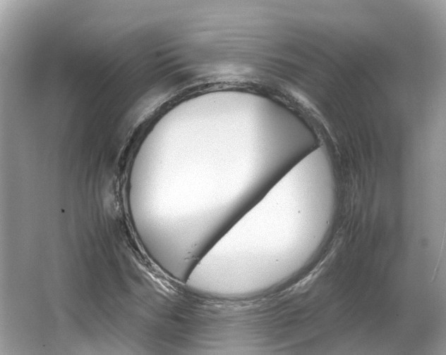 X0000067380970200603311016