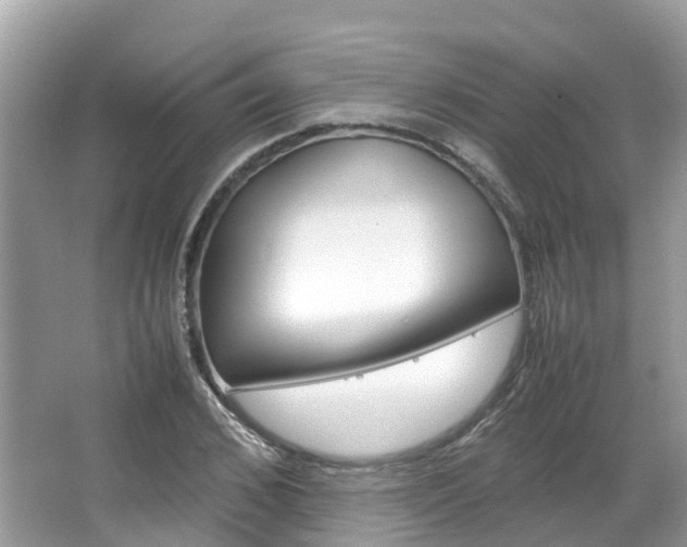 X0000067380976200603311016