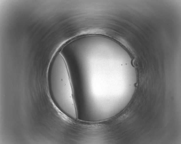 X0000067380988200603311016
