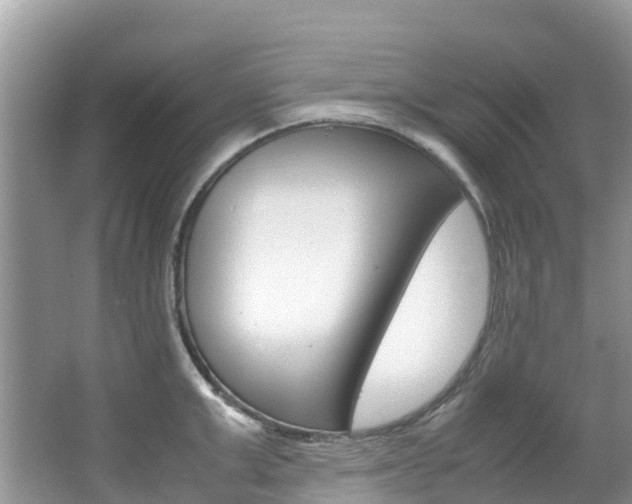 X0000067380999200603311015
