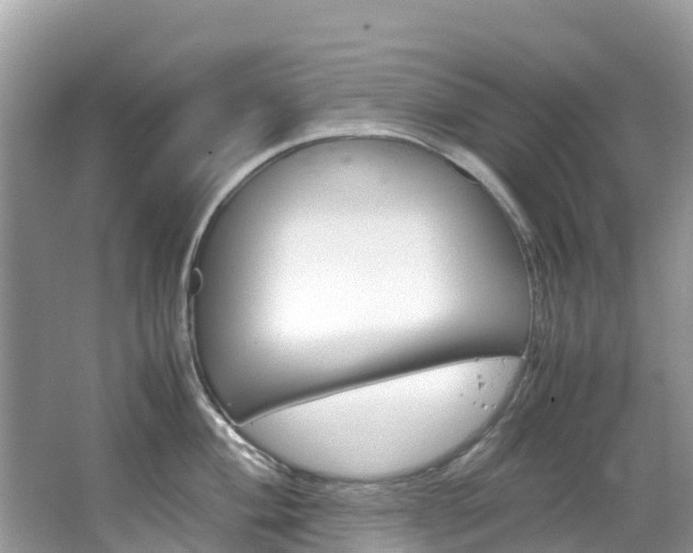 X0000067381004200603311015