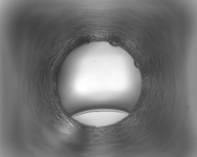 X0000067381009200603311014