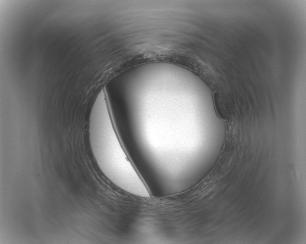 X0000067381012200603311015