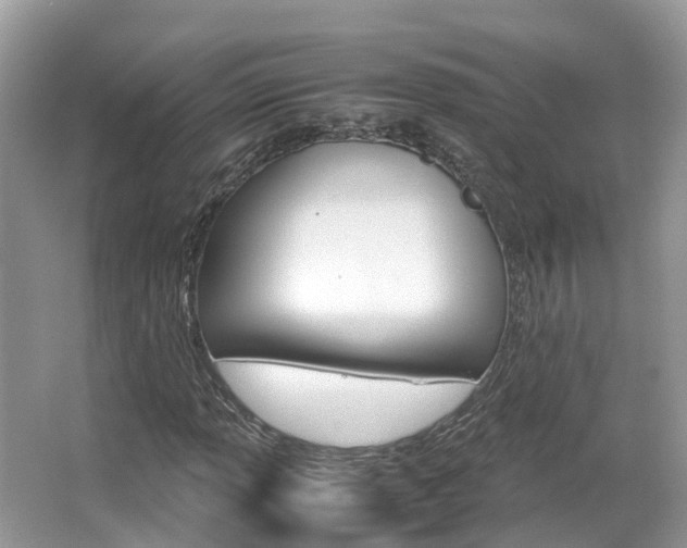 X0000067381013200603311015