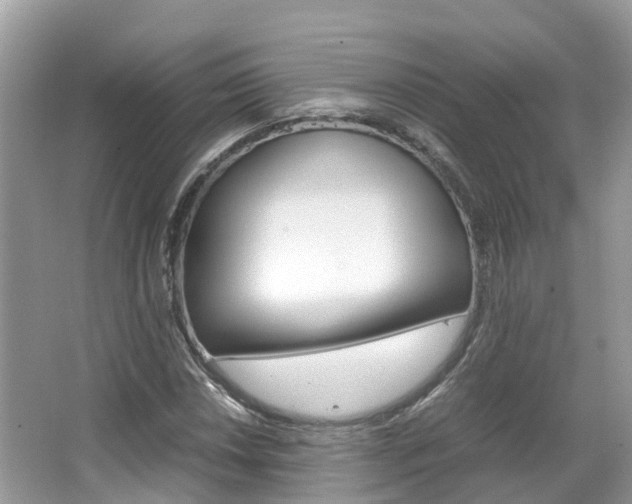 X0000067381018200603311015