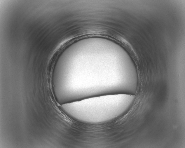 X0000067381019200603311015