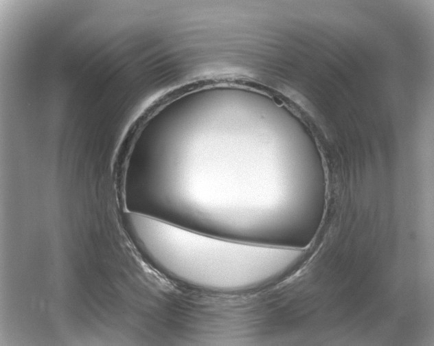 X0000067381022200603311015
