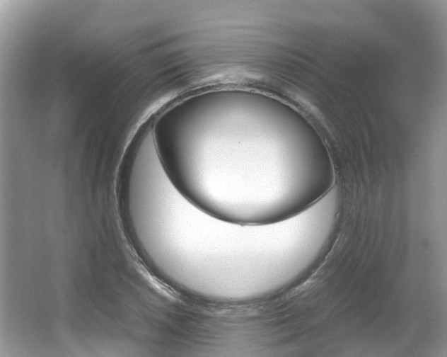 X0000067381026200603311015