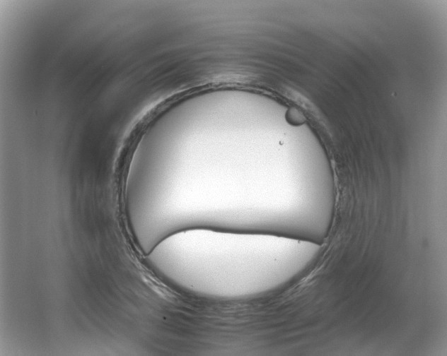 X0000067381027200603311015
