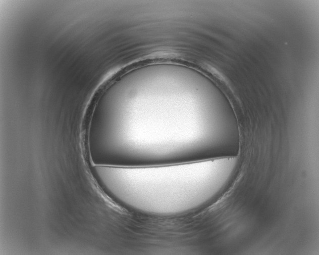 X0000067381029200603311015