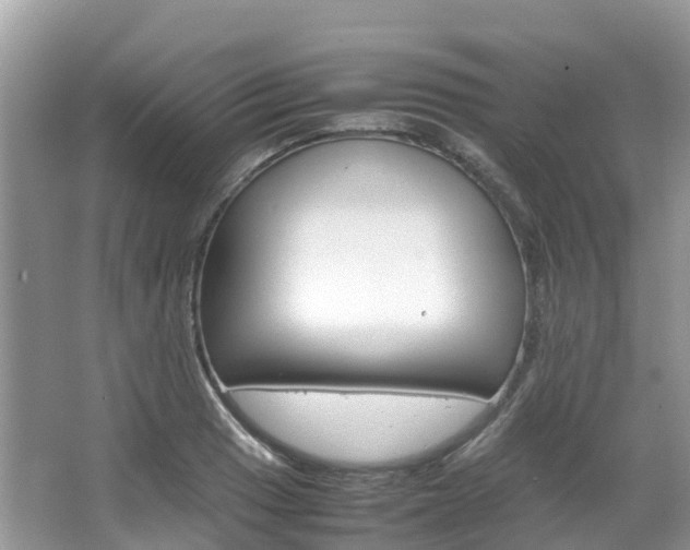 X0000067381033200603311015