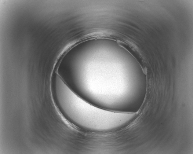 X0000067381034200603311015