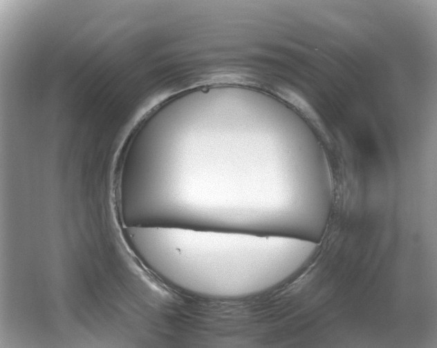 X0000067381043200603311015