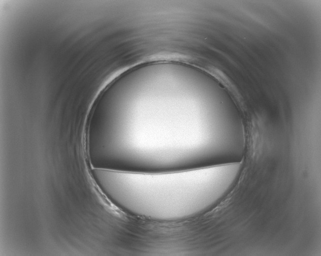 X0000067381044200603311015