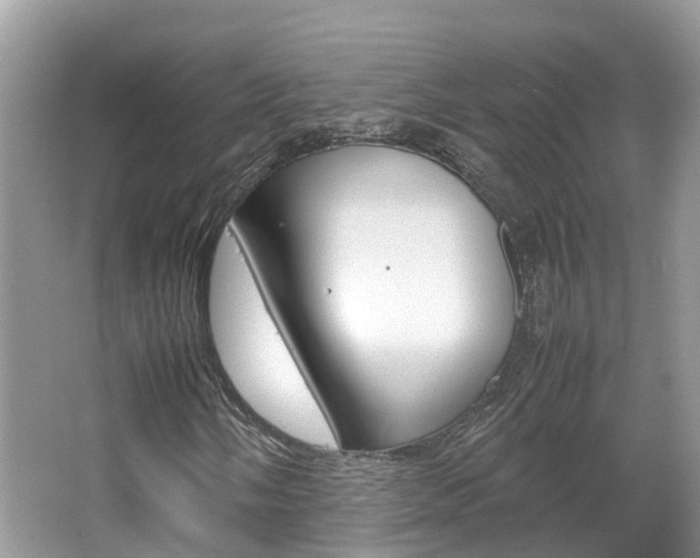 X0000067381058200603311014
