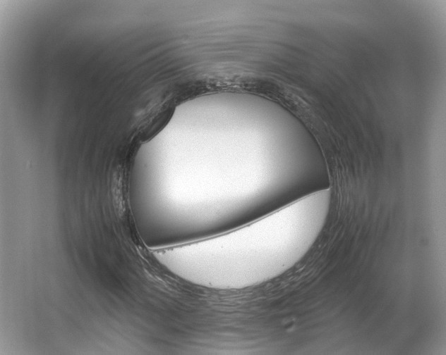 X0000067381060200603311014