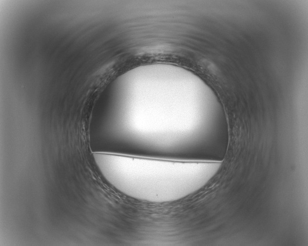 X0000067381062200603311014