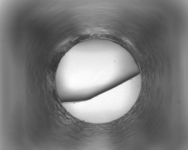 X0000067381063200603311014